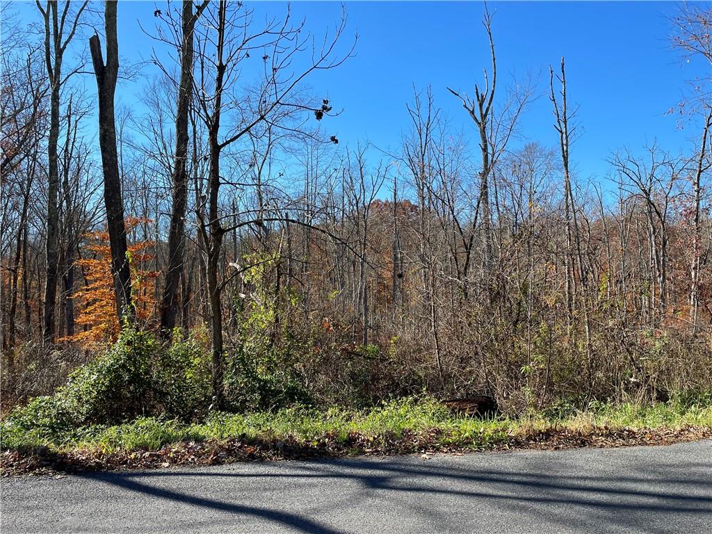 Lake Shore Dr, Shawangunk, NY 12566, USA property photo