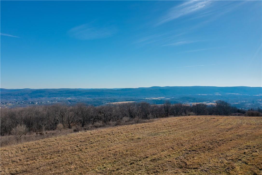 1297 NY-343, Dover Plains, NY 12522, USA property photo