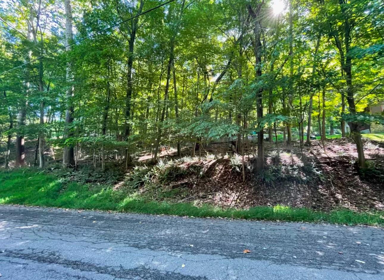 16 Laura Ln, Hopewell Junction, NY 12533, USA property photo