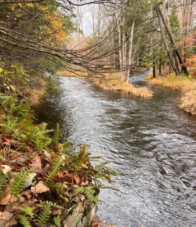91 Laurie Ln, Earlton, NY 12058, USA property photo