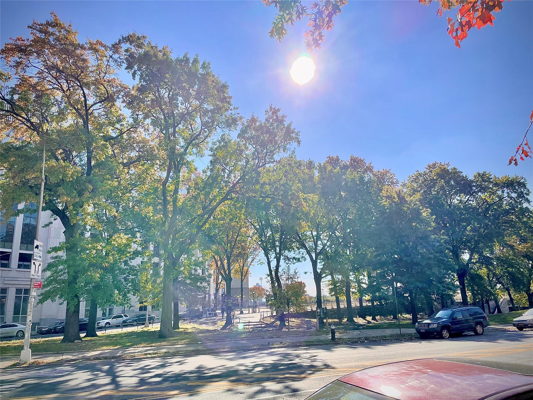941 Jerome Avenue Unit 3B Bronx, NY 10452 property photo