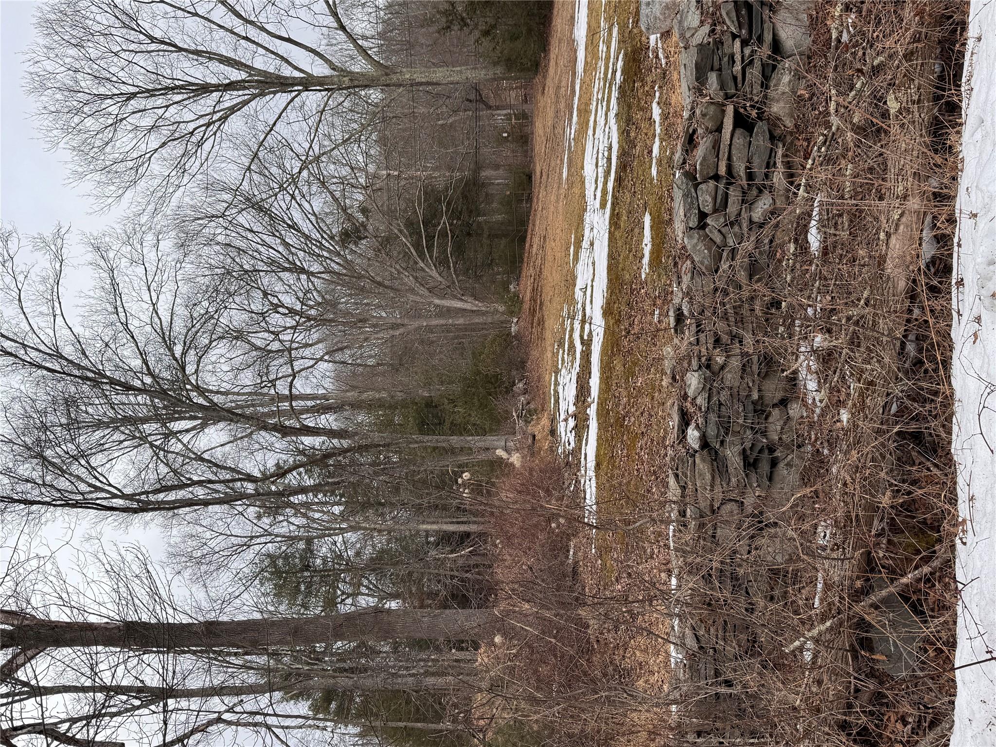 Wurtsboro Mountain Rd, Wurtsboro, NY 12790, USA property photo