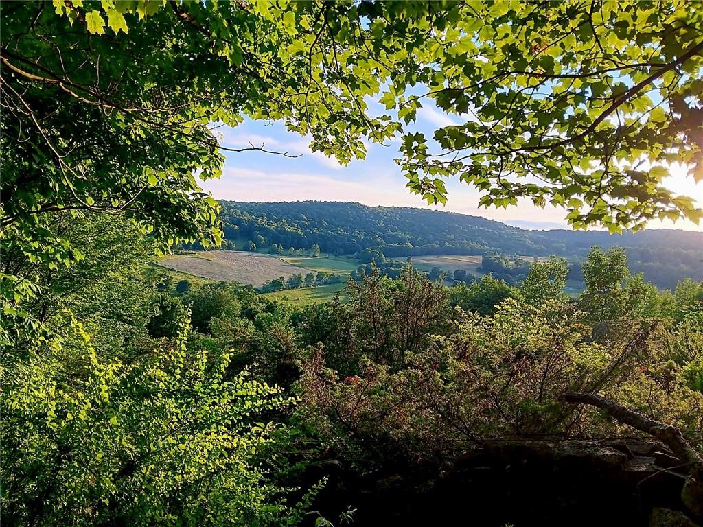 Pleasant Valley Rd, Callicoon, NY 12723, USA property photo