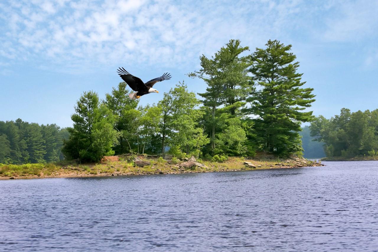 Whispering Woods Dr, Bethel, NY 12762, USA property photo