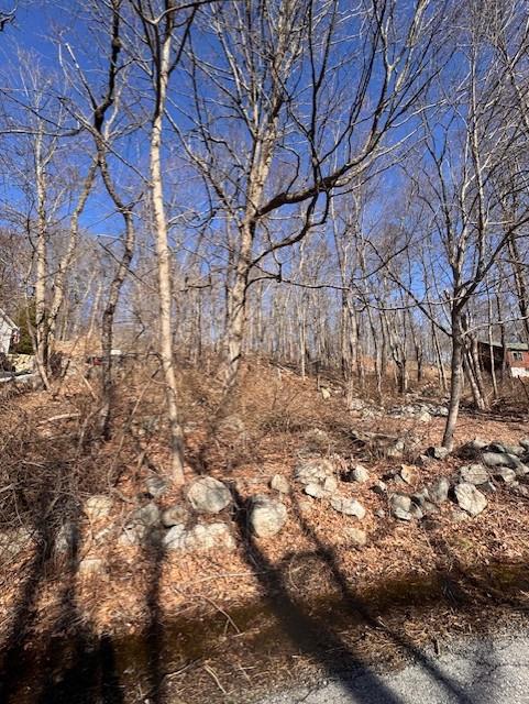 110 Rushmore Rd, Hopewell Junction, NY 12533, USA property photo