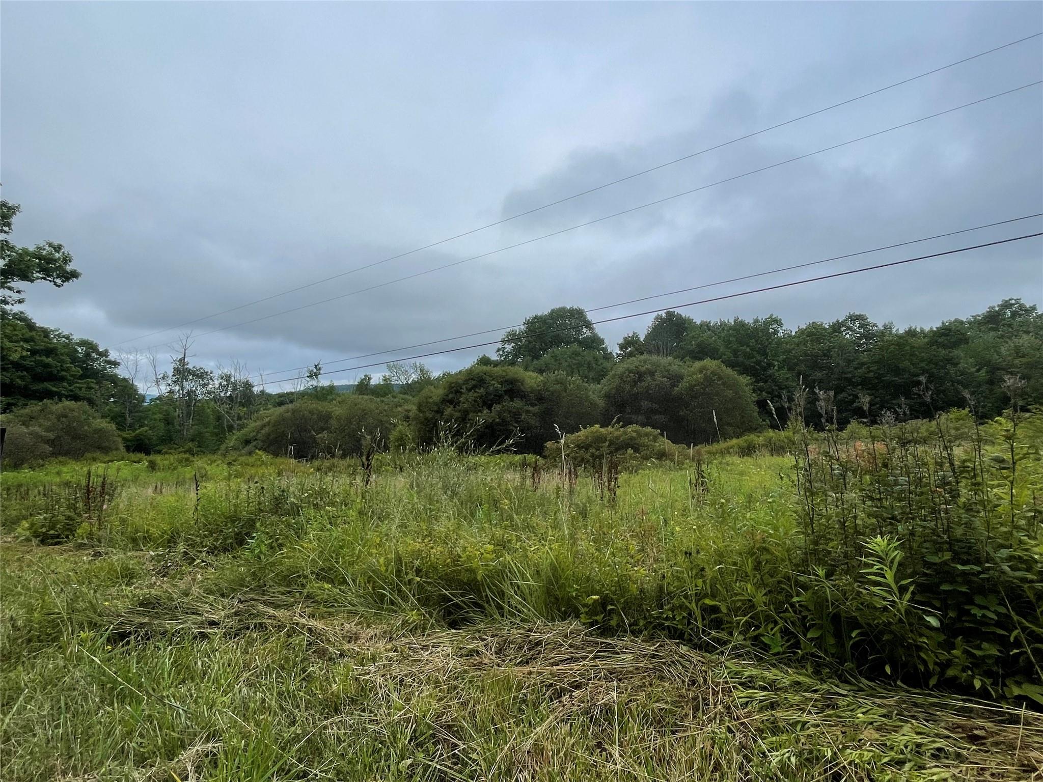 Basil Todd Road Fleischmanns, NY 12430 property photo