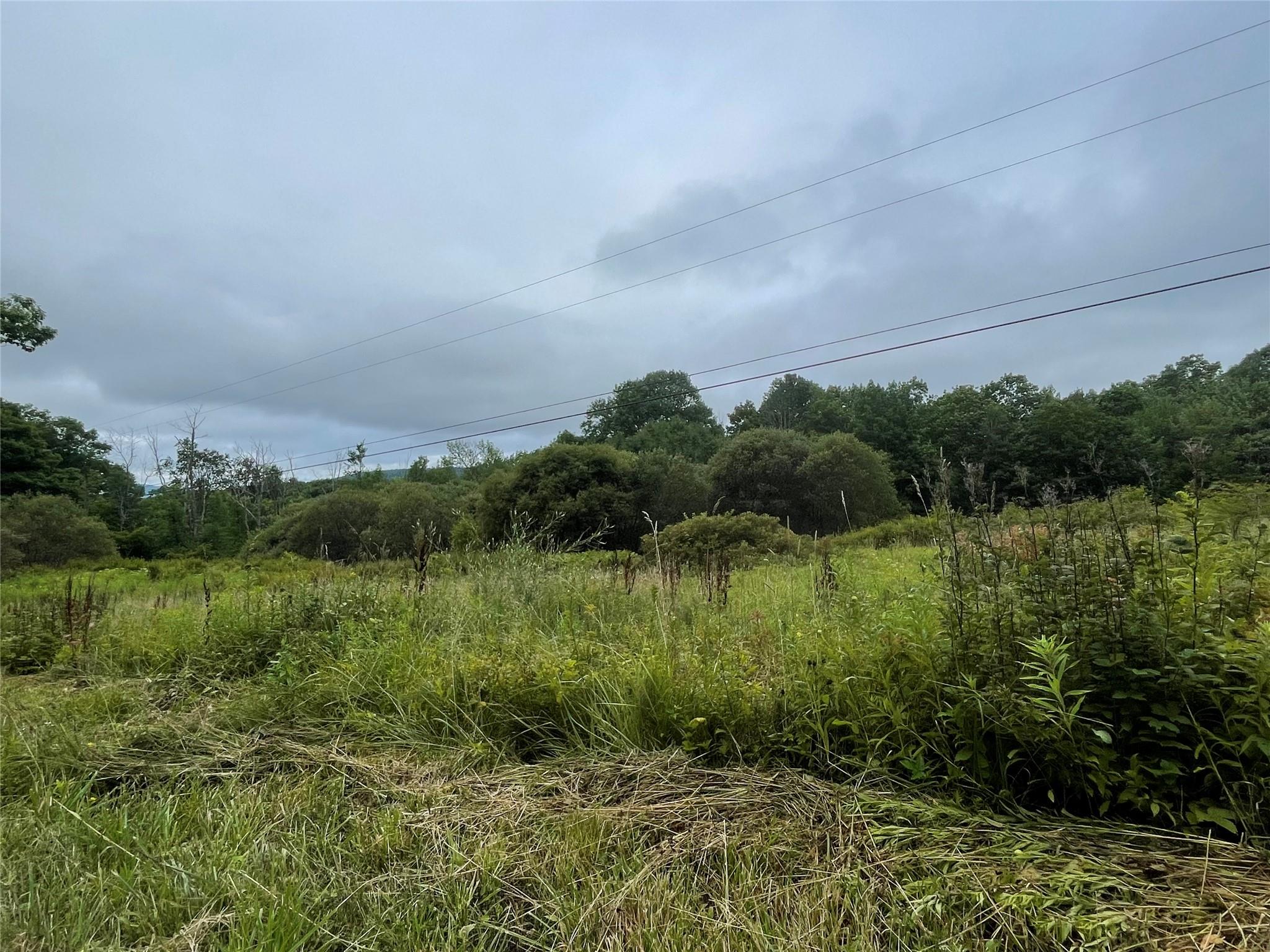 Basil Todd Rd, Middletown, NY 12430, USA property photo