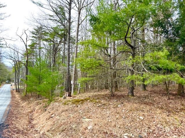 11 Magnolia Dr, Glen Spey, NY 12737, USA property photo