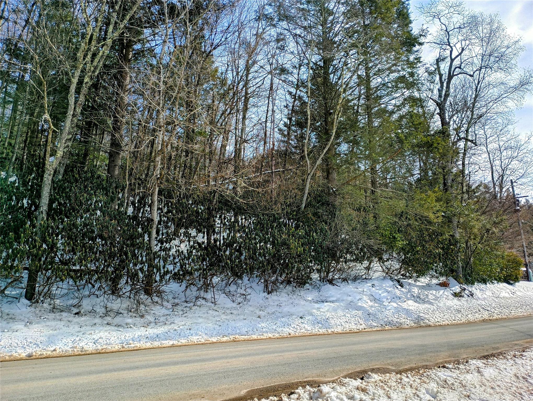 Benton Hollow Rd, Neversink, NY 12765, USA property photo