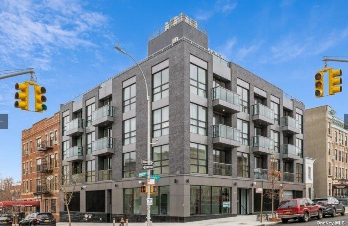 279 Sumpter St, Brooklyn, NY 11233, USA property photo