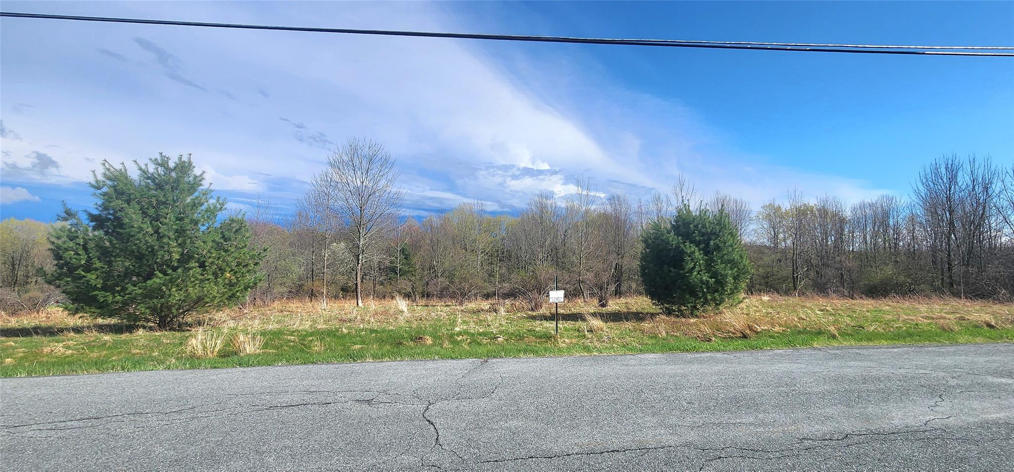 Budd Rd, Woodbourne, NY 12788, USA property photo