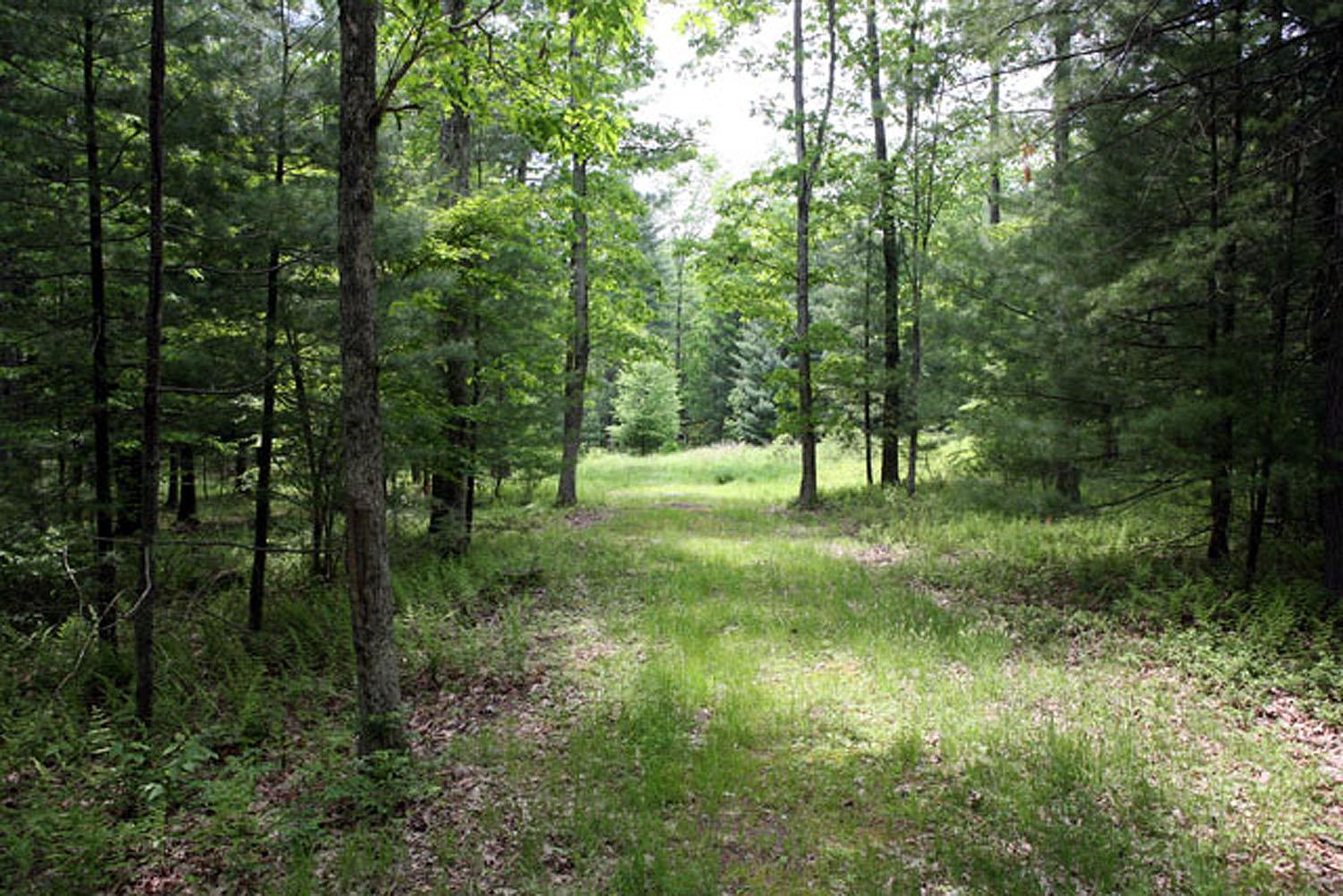 23 Serenity Dr, Callicoon, NY 12723, USA property photo
