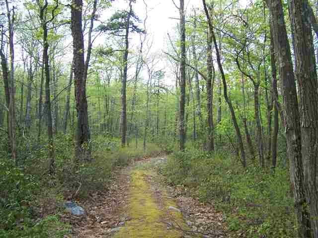 New St, Mamakating, NY 12790, USA property photo