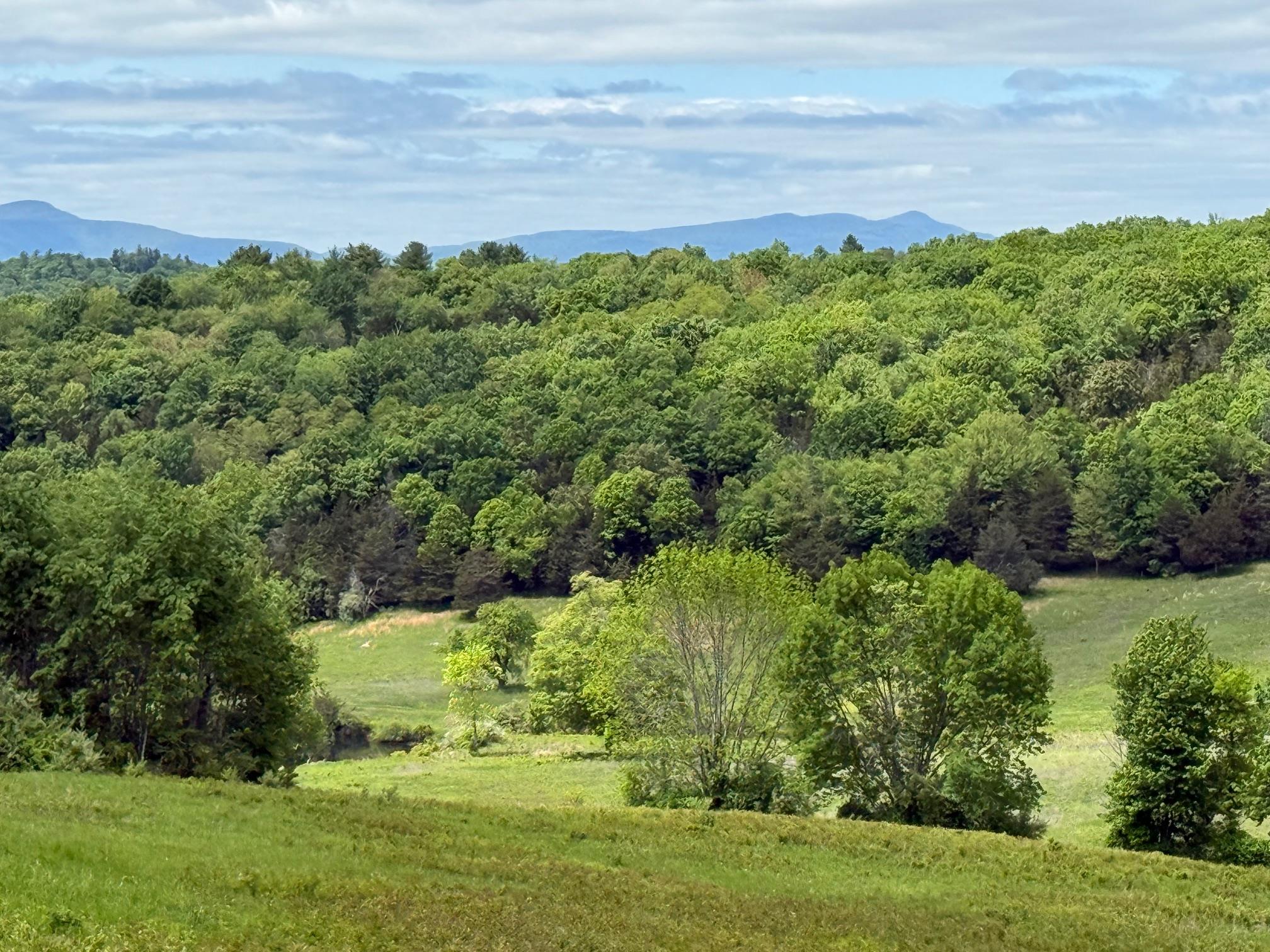 Woodward Hill Rd, Pine Plains, NY 12567, USA property photo