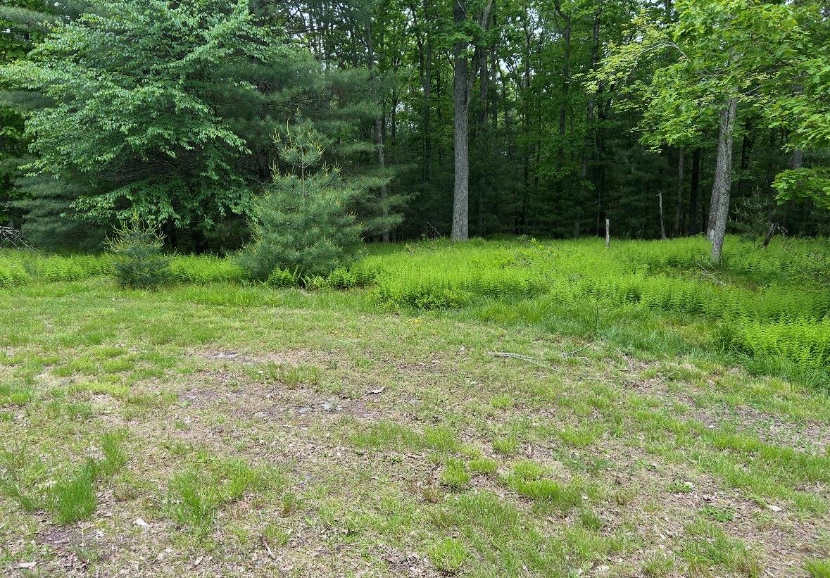 45 Split Rock Rd, Barryville, NY 12719, USA property photo