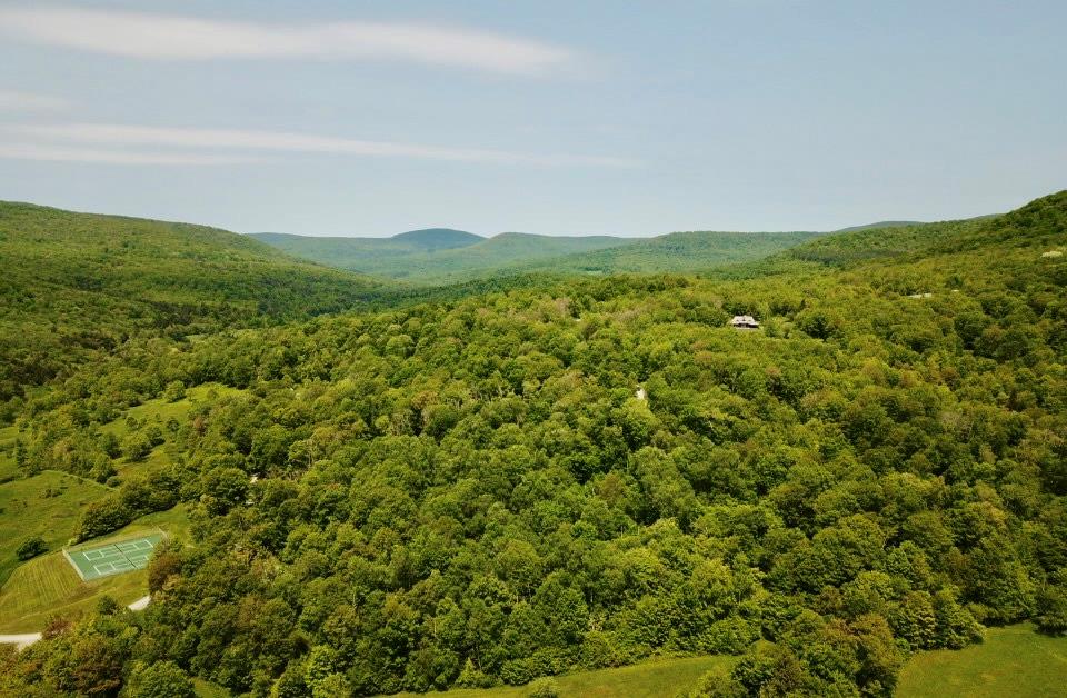 High Meadow Rd, Hardenburgh, NY 12758, USA property photo