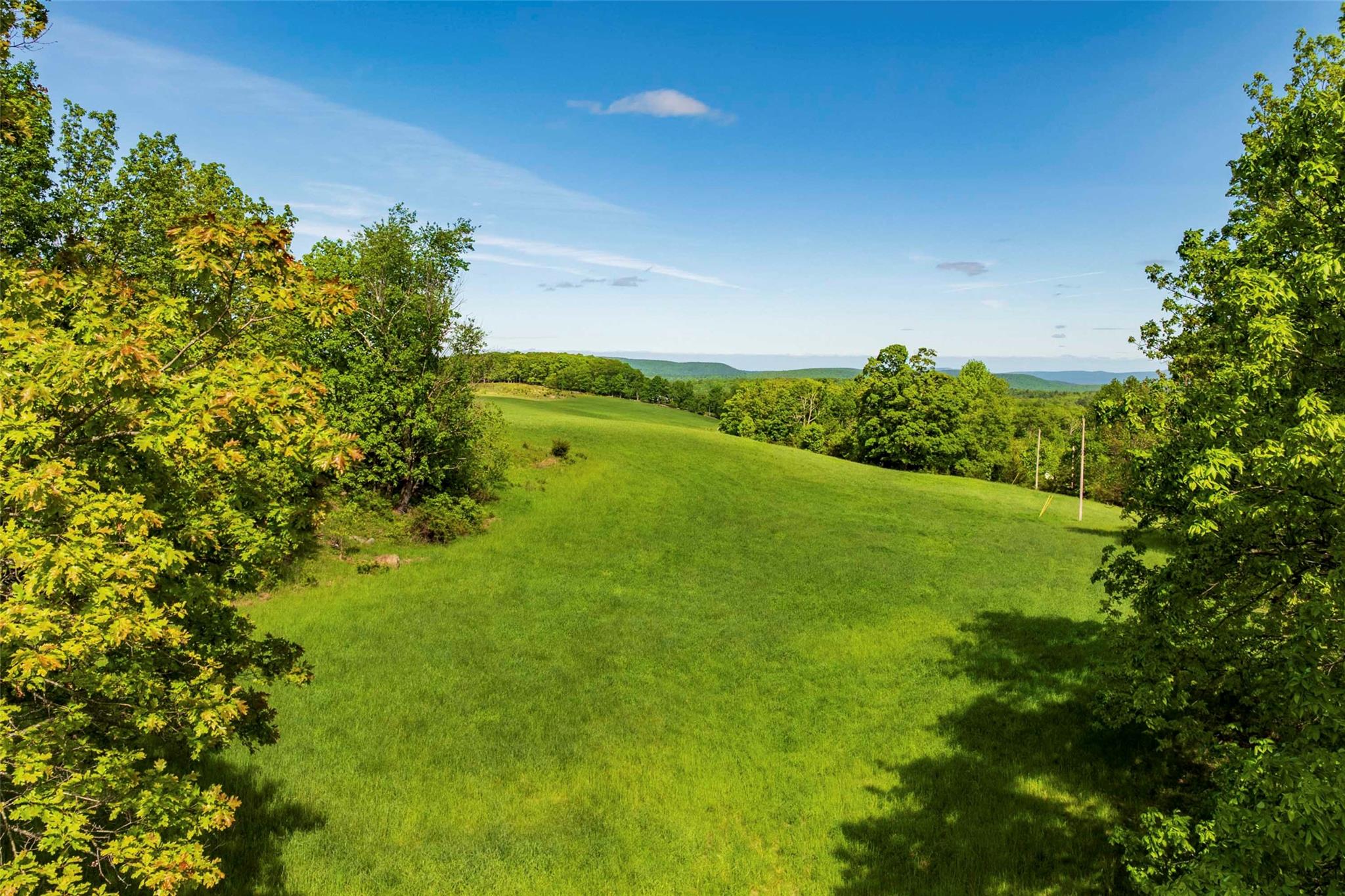 15 Red Rock Rd, Grahamsville, NY 12740, USA property photo