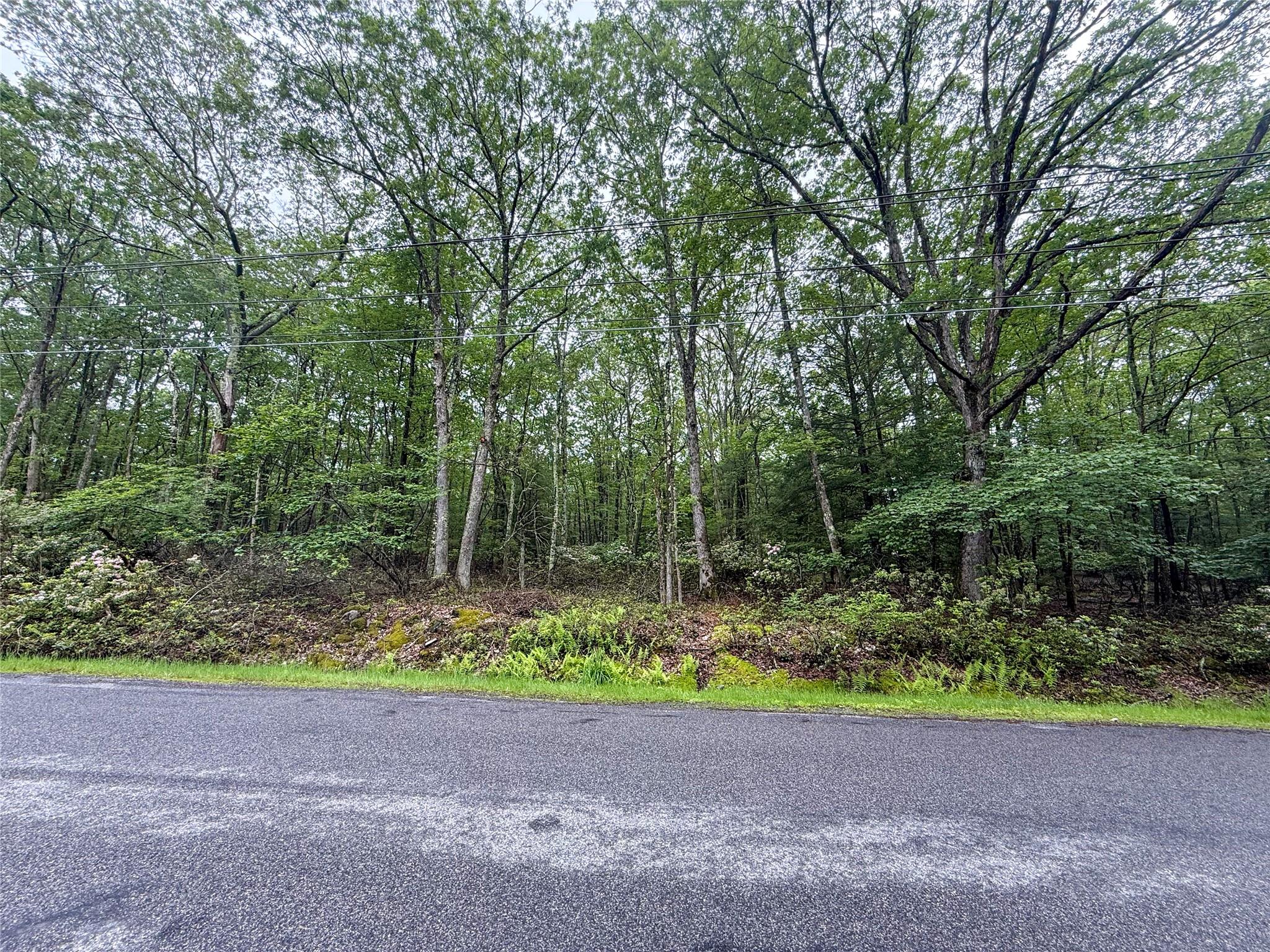 Old Sackett Road Rock Hill, NY 12775 property photo