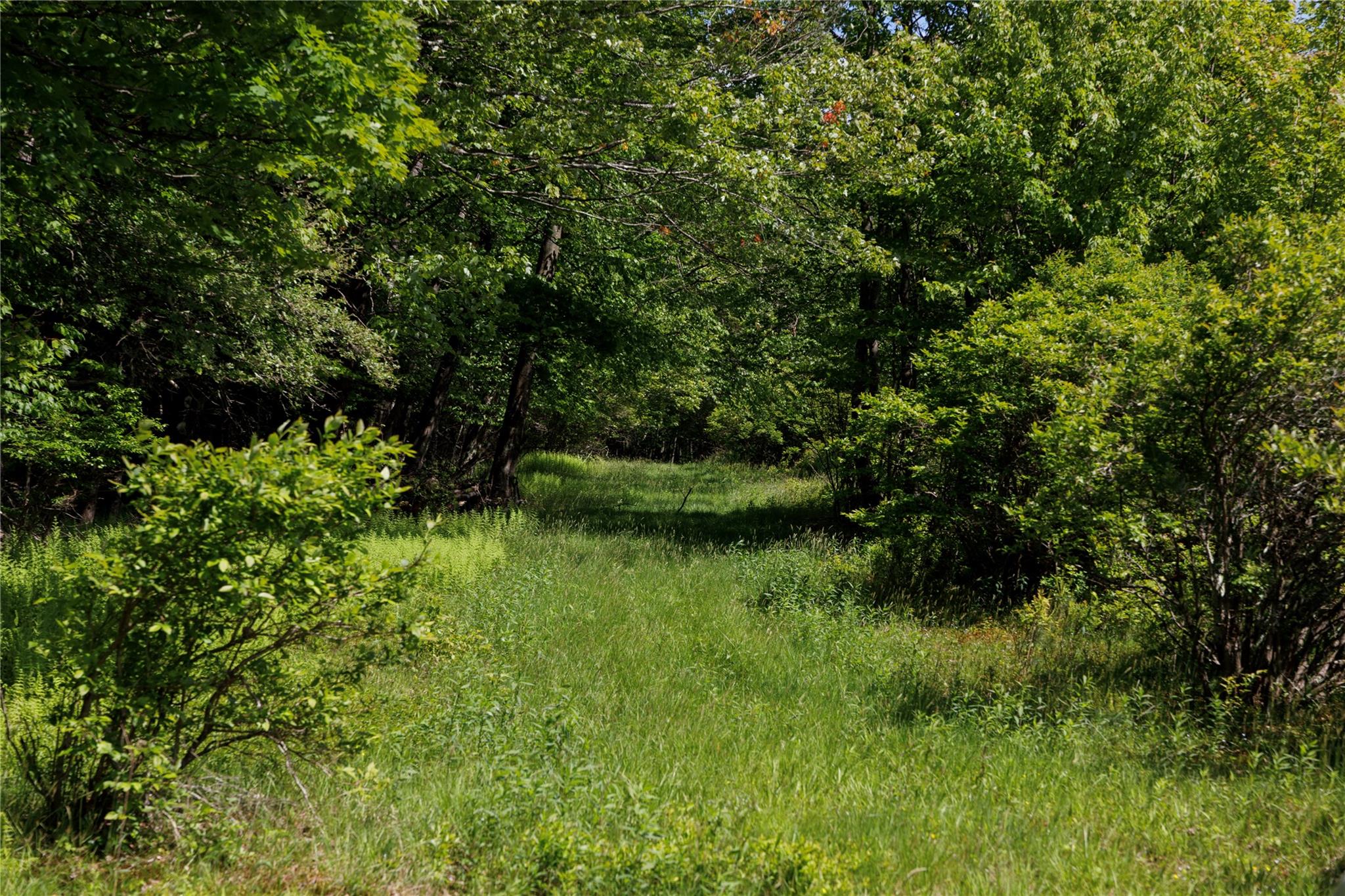 650 Thunder Hill Rd, Woodbourne, NY 12788, USA property photo