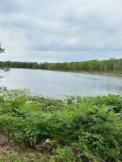 Gardner Dr, Greenville, NY 12771, USA property photo