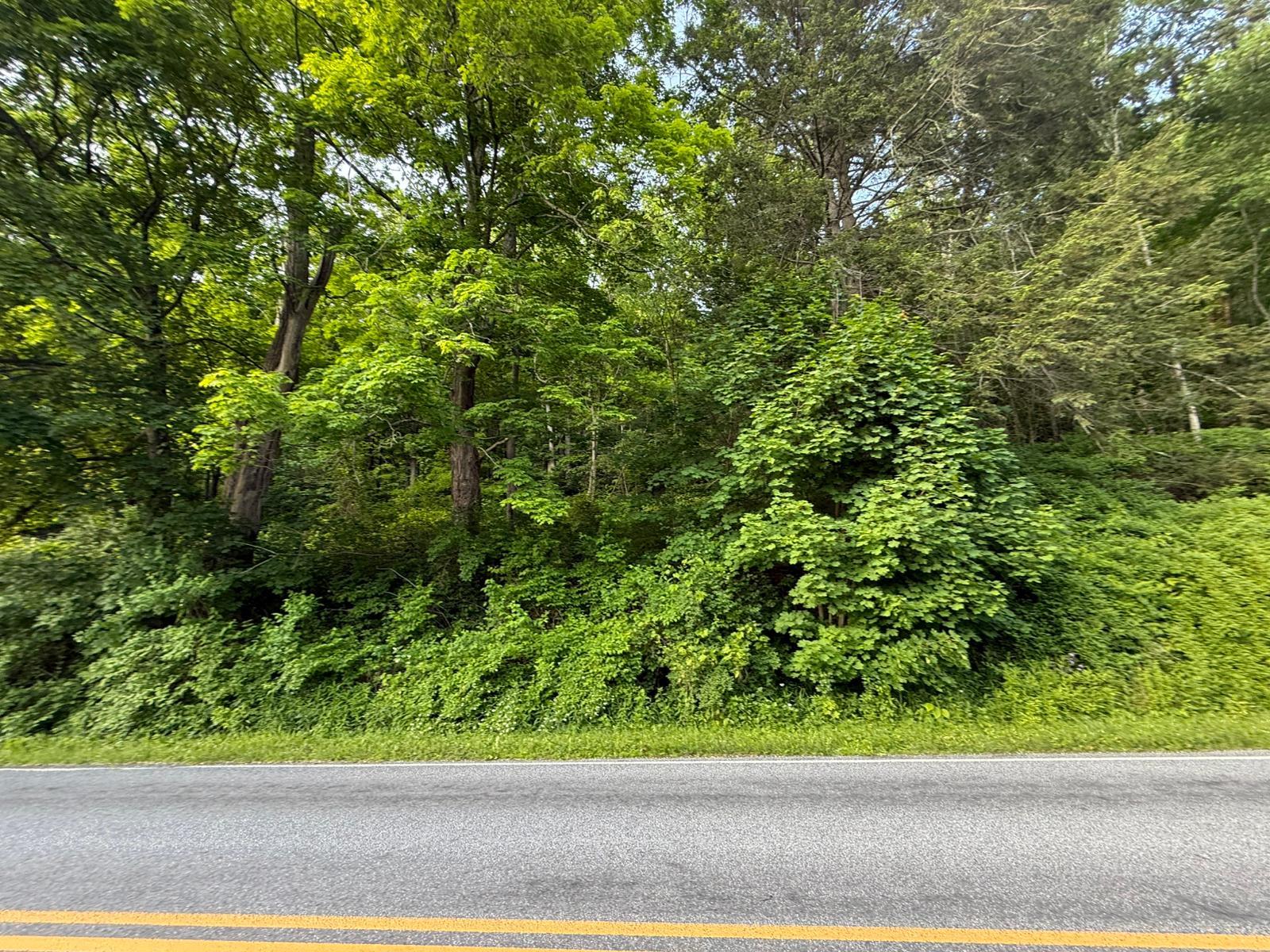 591 Bog Hollow Rd, Wassaic, NY 12592, USA property photo