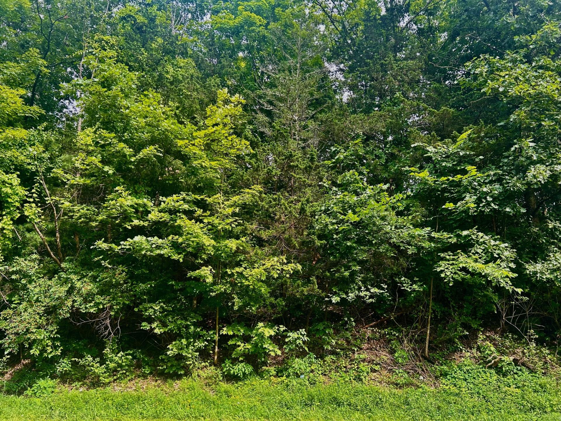 980 N Quaker Ln, Staatsburg, NY 12580, USA property photo