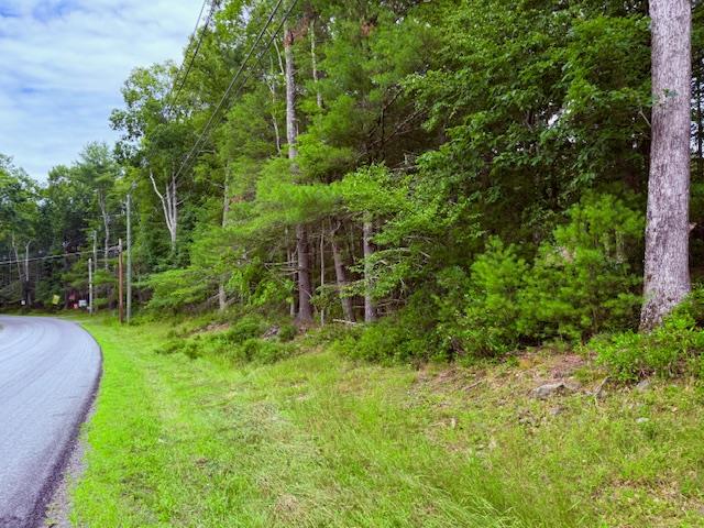 42 Leers Rd, Glen Spey, NY 12737, USA property photo