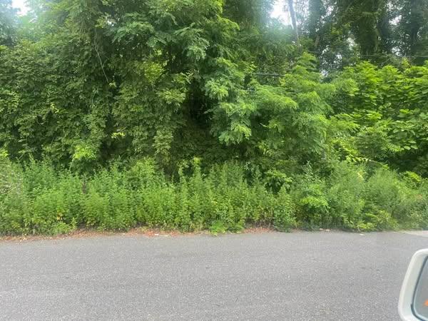 Coates Ave N & Portion Rd, Centereach, NY 11779, USA property photo