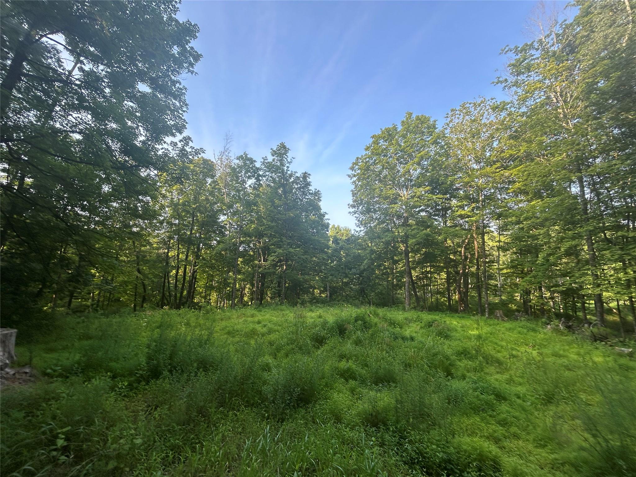 393 County Rte 2, Redfield, NY 13437, USA property photo