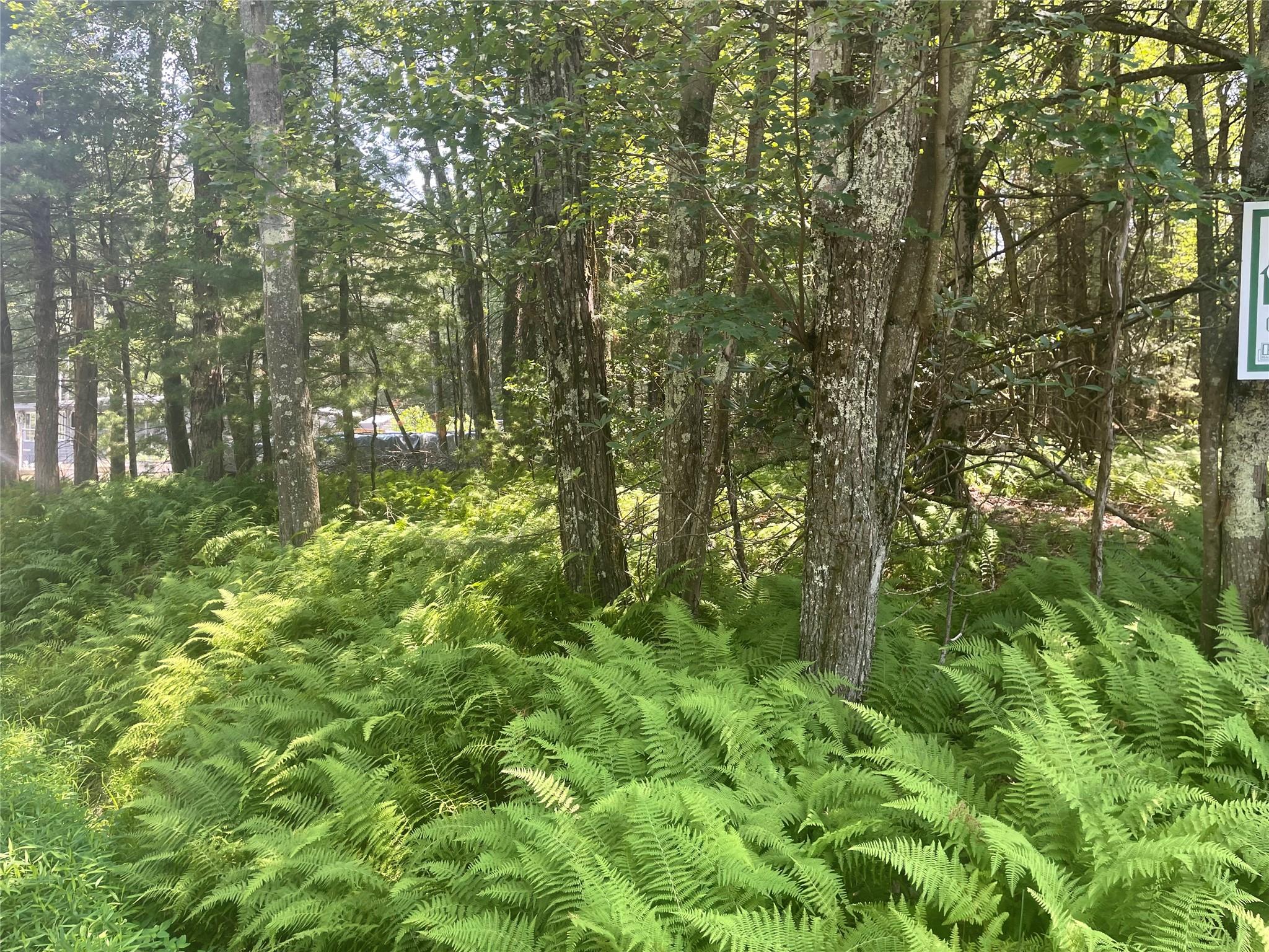 126 Beaver Lake Rd, Rock Hill, NY 12775, USA property photo