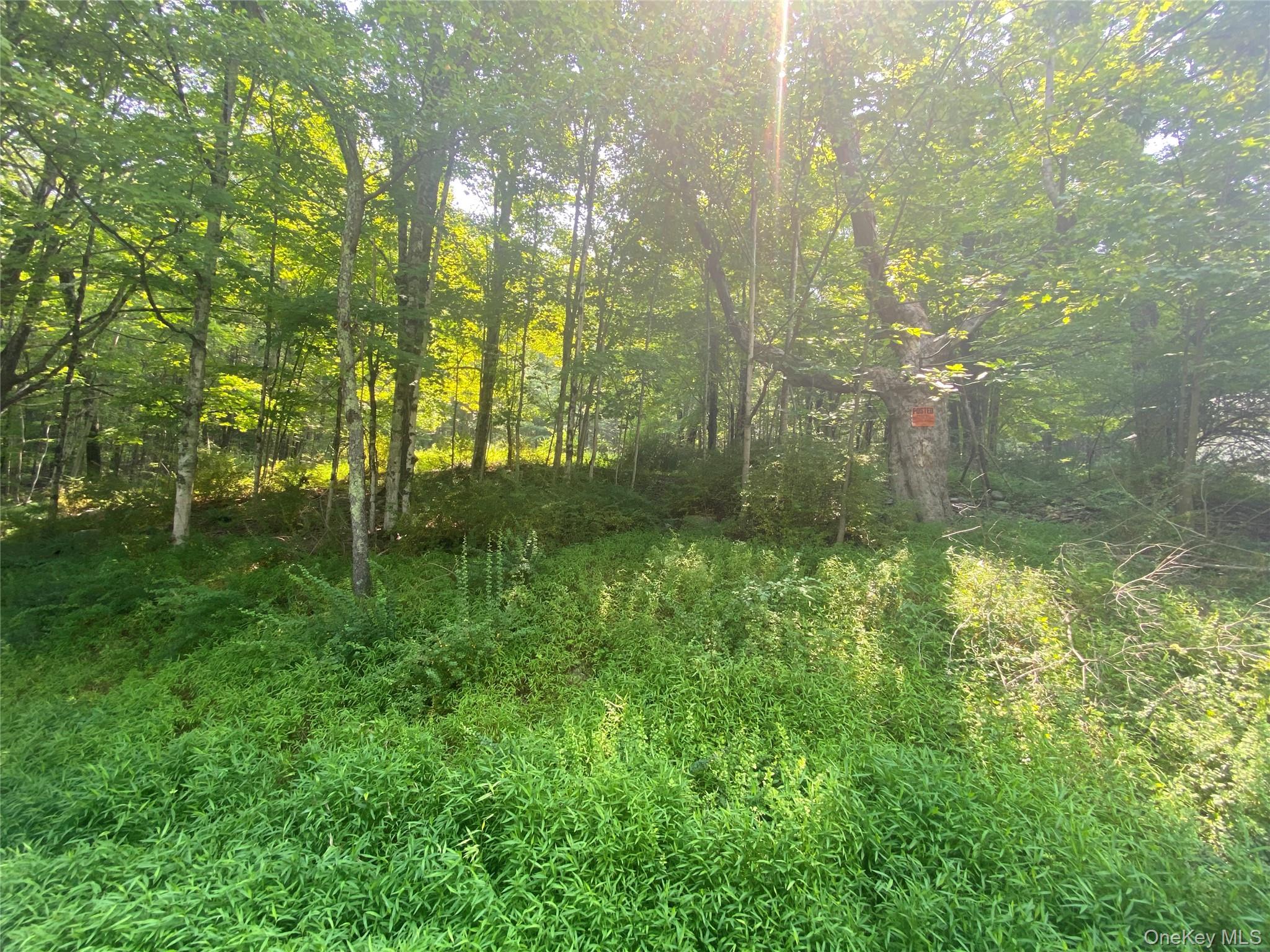 Wurtsboro, NY 12790, USA property photo