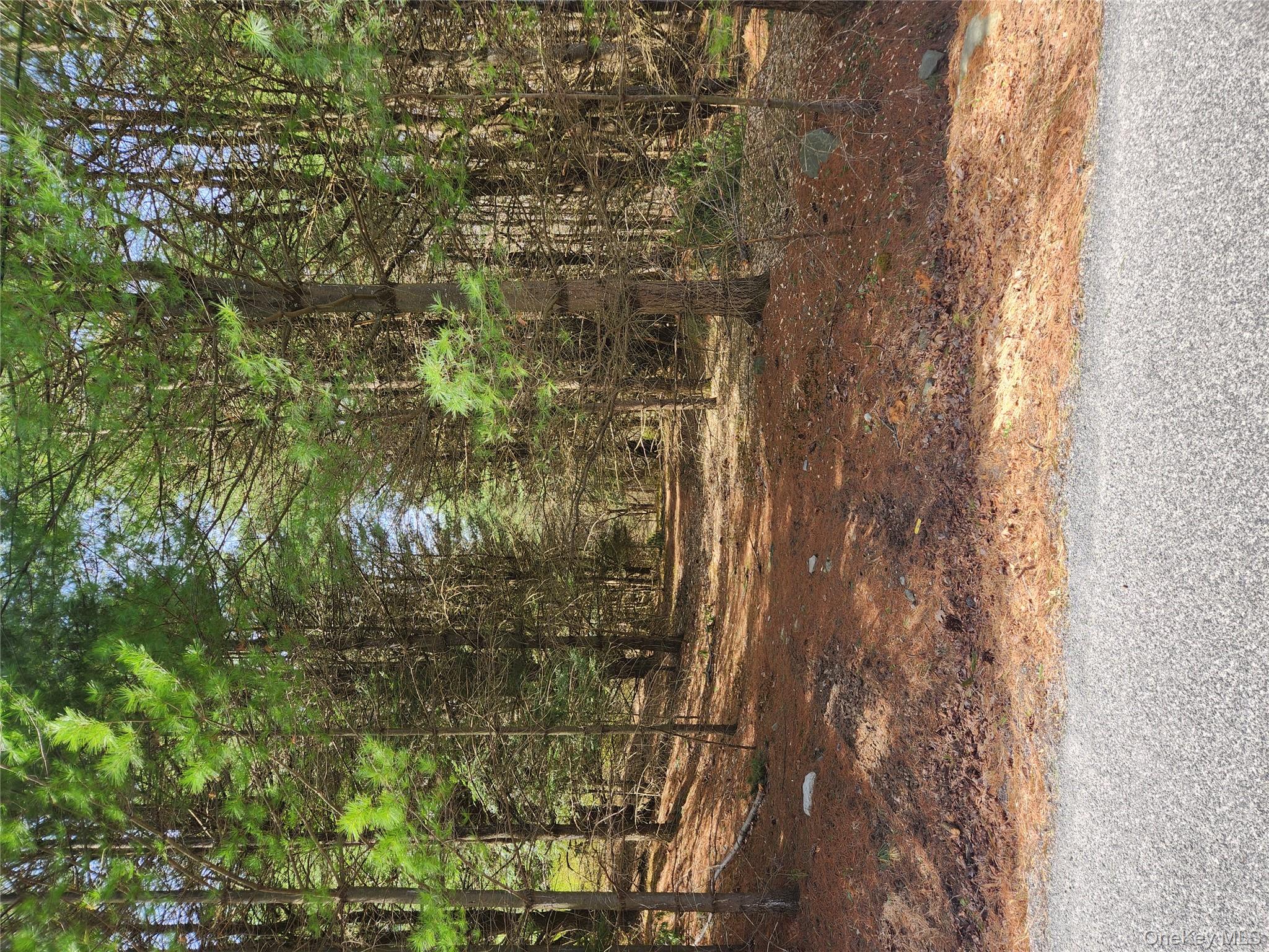 lot 45 4th Circle Rock Hill, NY 12775 property photo
