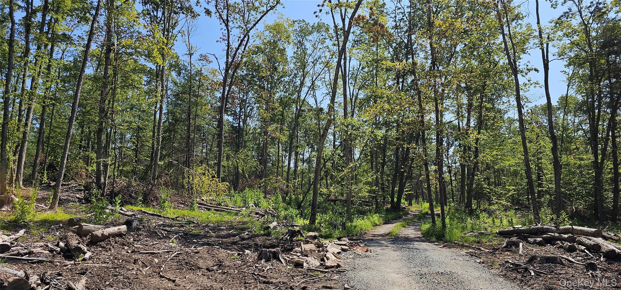 Eckes Rd, Tusten, NY 12764, USA property photo
