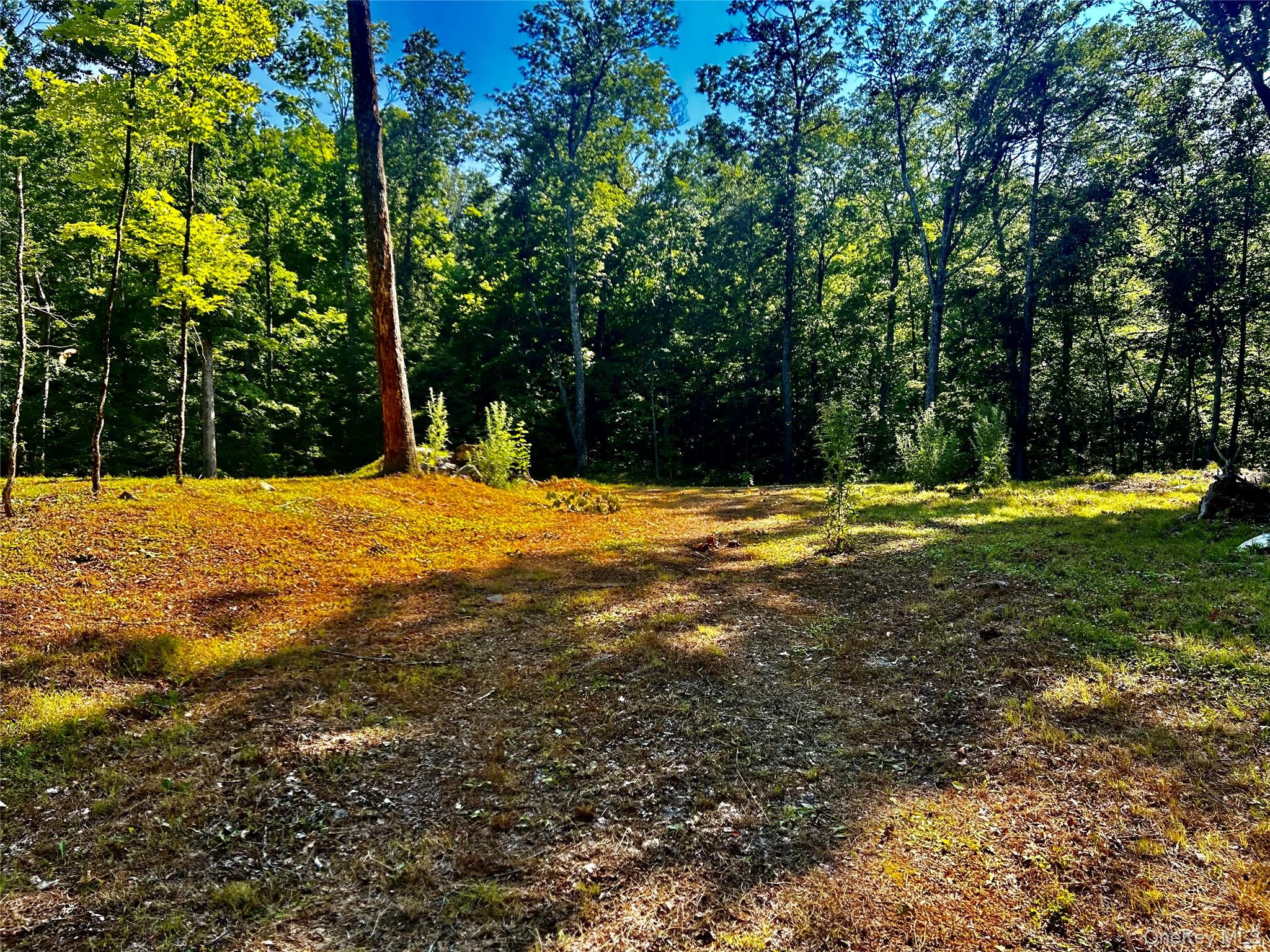 80 Forever Ivy Ln, Hyde Park, NY 12538, USA property photo