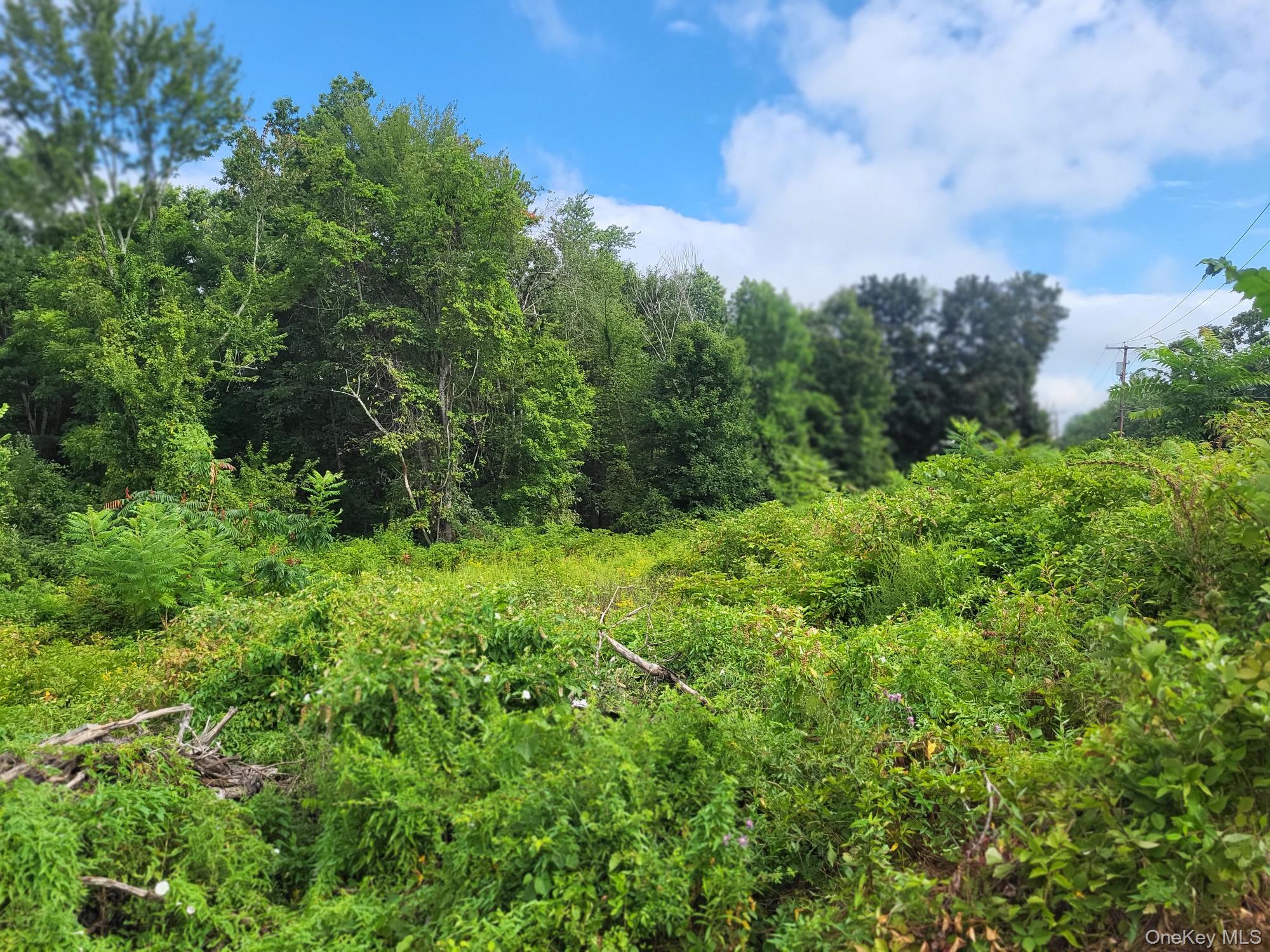 NY-208 & Bona Ventura Ave, Wallkill, NY 12589, USA property photo