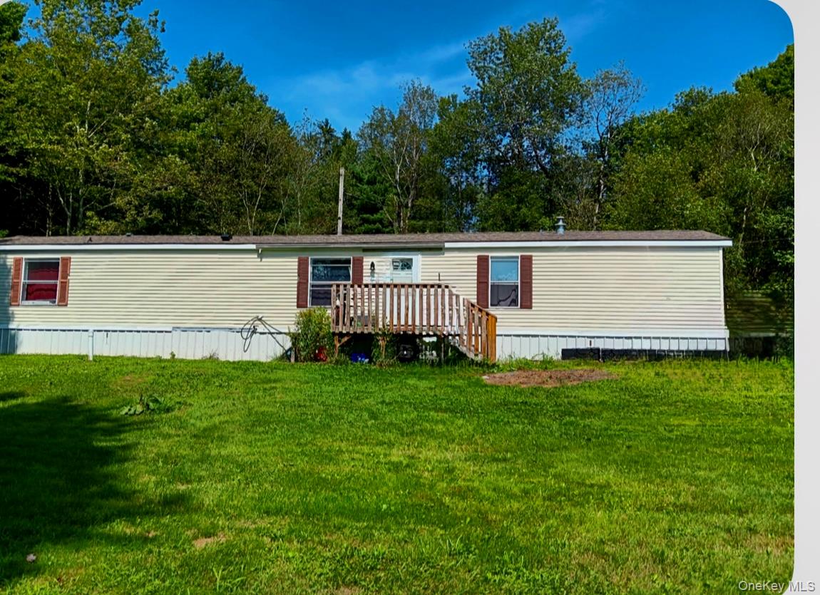 811 Briscoe Rd, Swan Lake, NY 12783, USA property photo