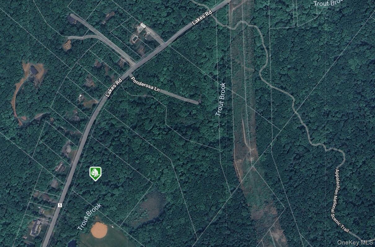 1187 Lakes Rd, Monroe, NY 10950, USA property photo