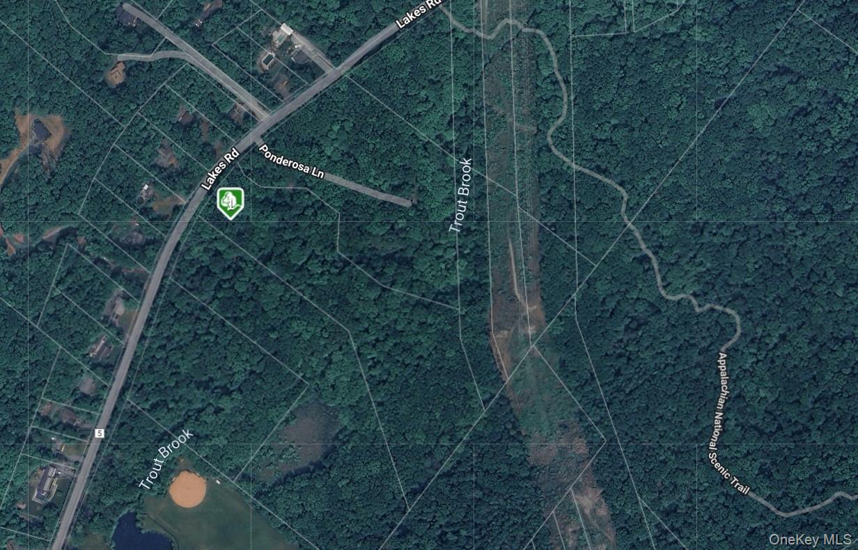 1171 Lakes Rd, Monroe, NY 10950, USA property photo
