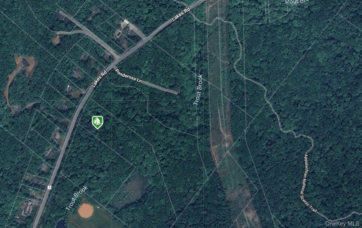 1181 Lakes Rd, Monroe, NY 10950, USA property photo