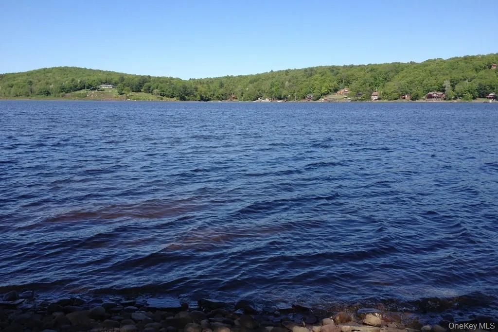 23 Woodstone Trl, Mongaup Valley, NY 12762, USA property photo