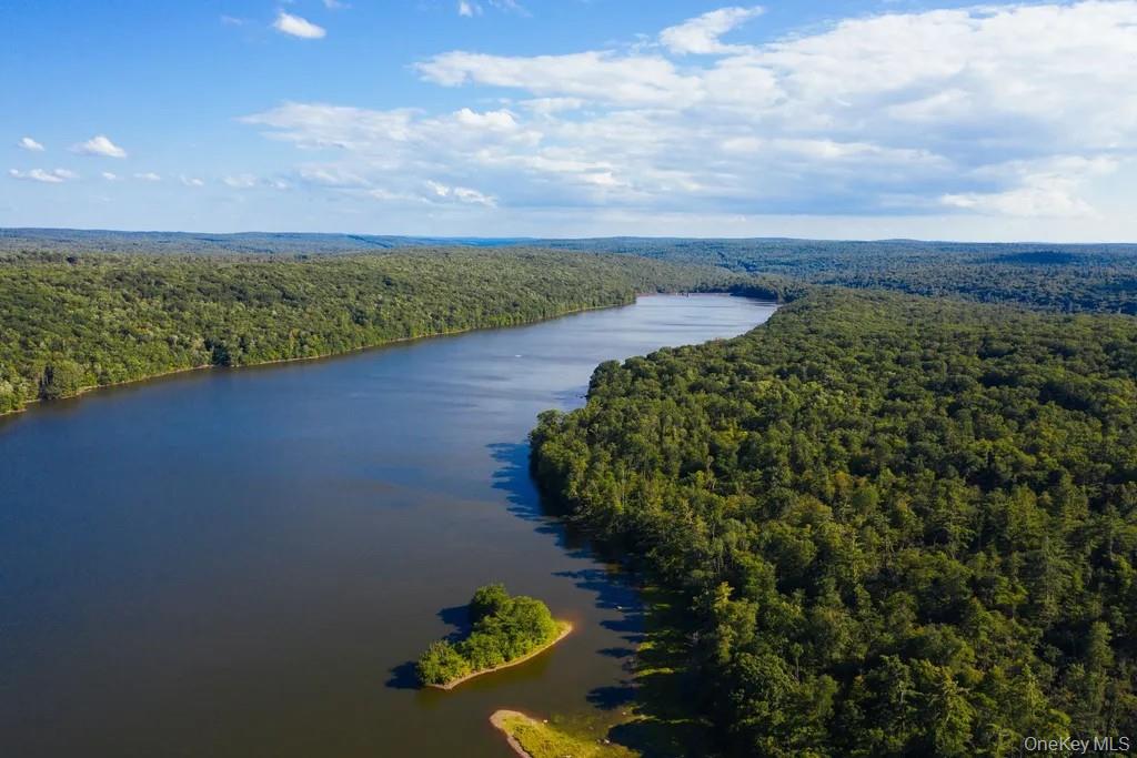 1 Woodstone Trl, Mongaup Valley, NY 12762, USA property photo