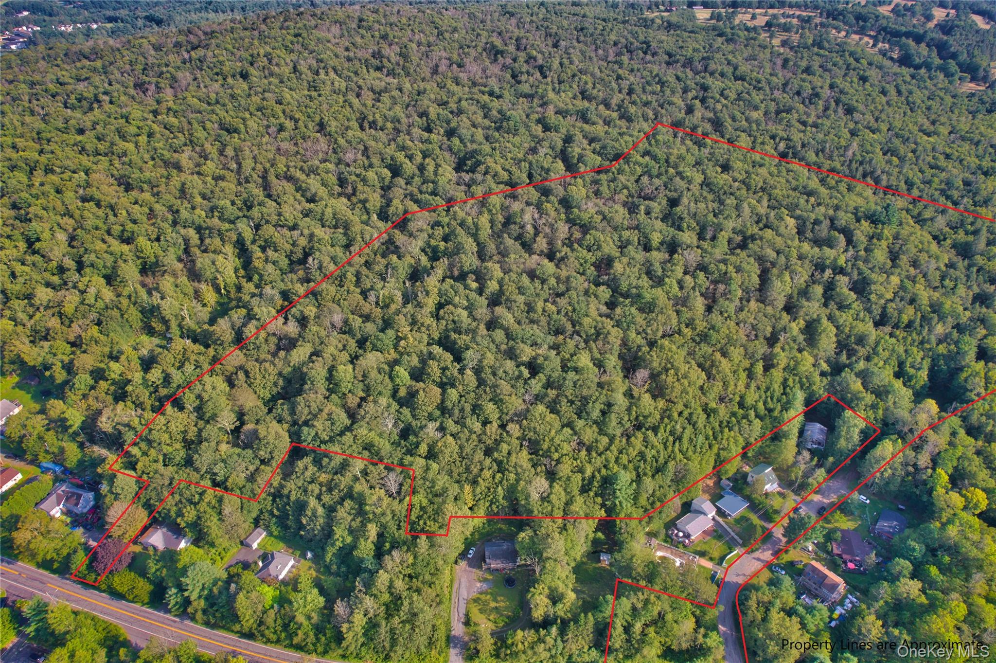 39 Birch Ln, Swan Lake, NY 12783, USA property photo