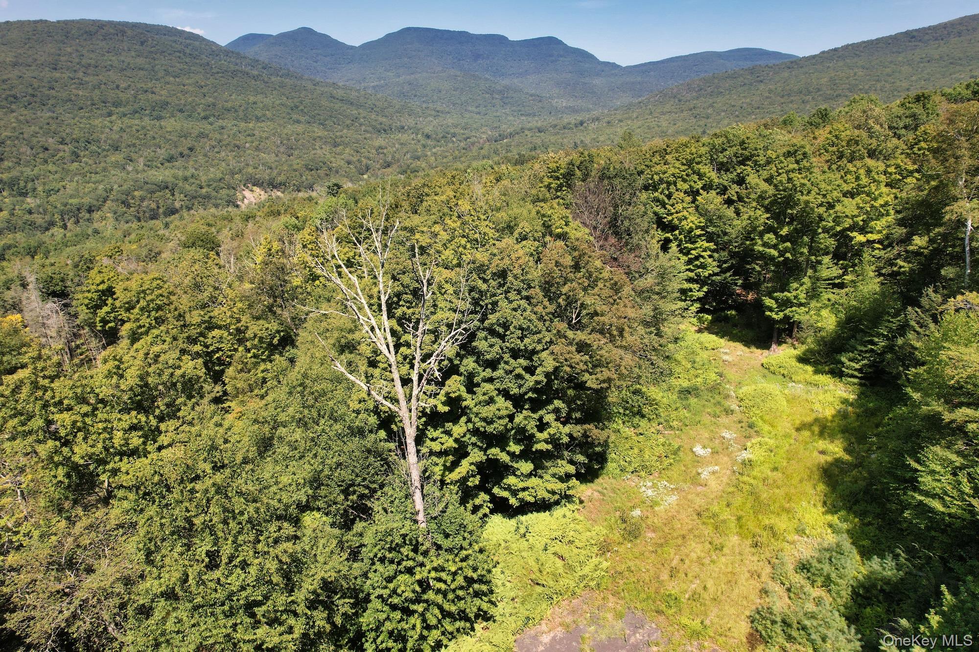 Macdaniel Rd, Woodstock, NY, USA property photo