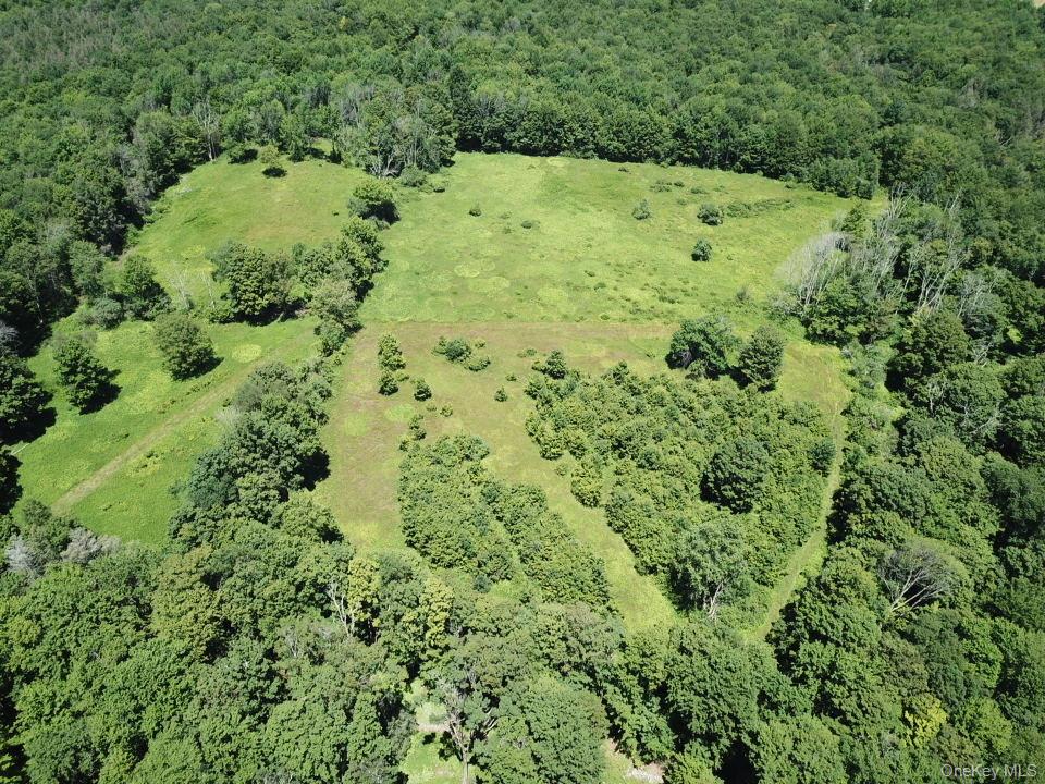 Ahrens Rd, Parksville, NY 12768, USA property photo