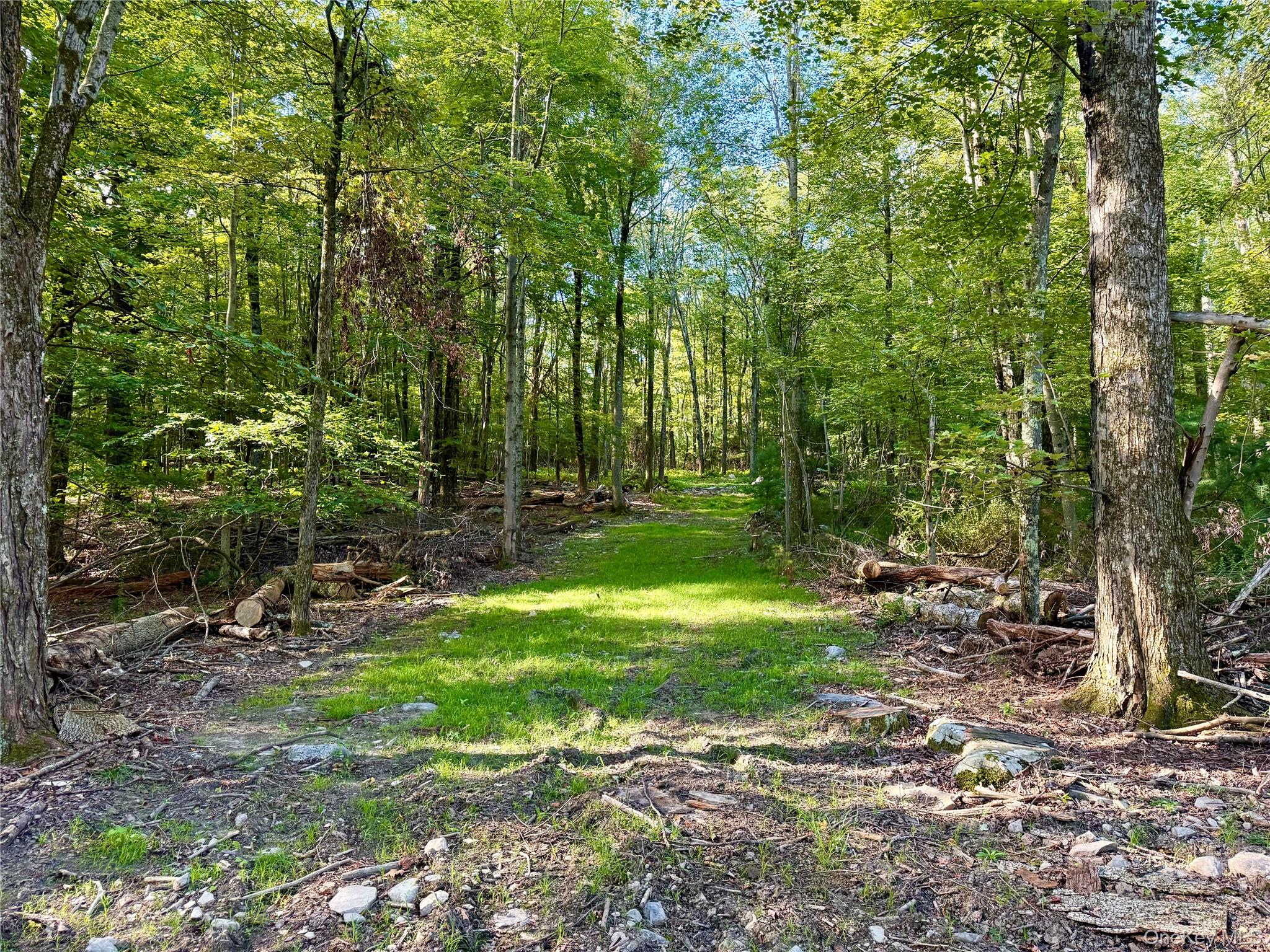Mt Prosper Rd, Mamakating, NY 12790, USA property photo
