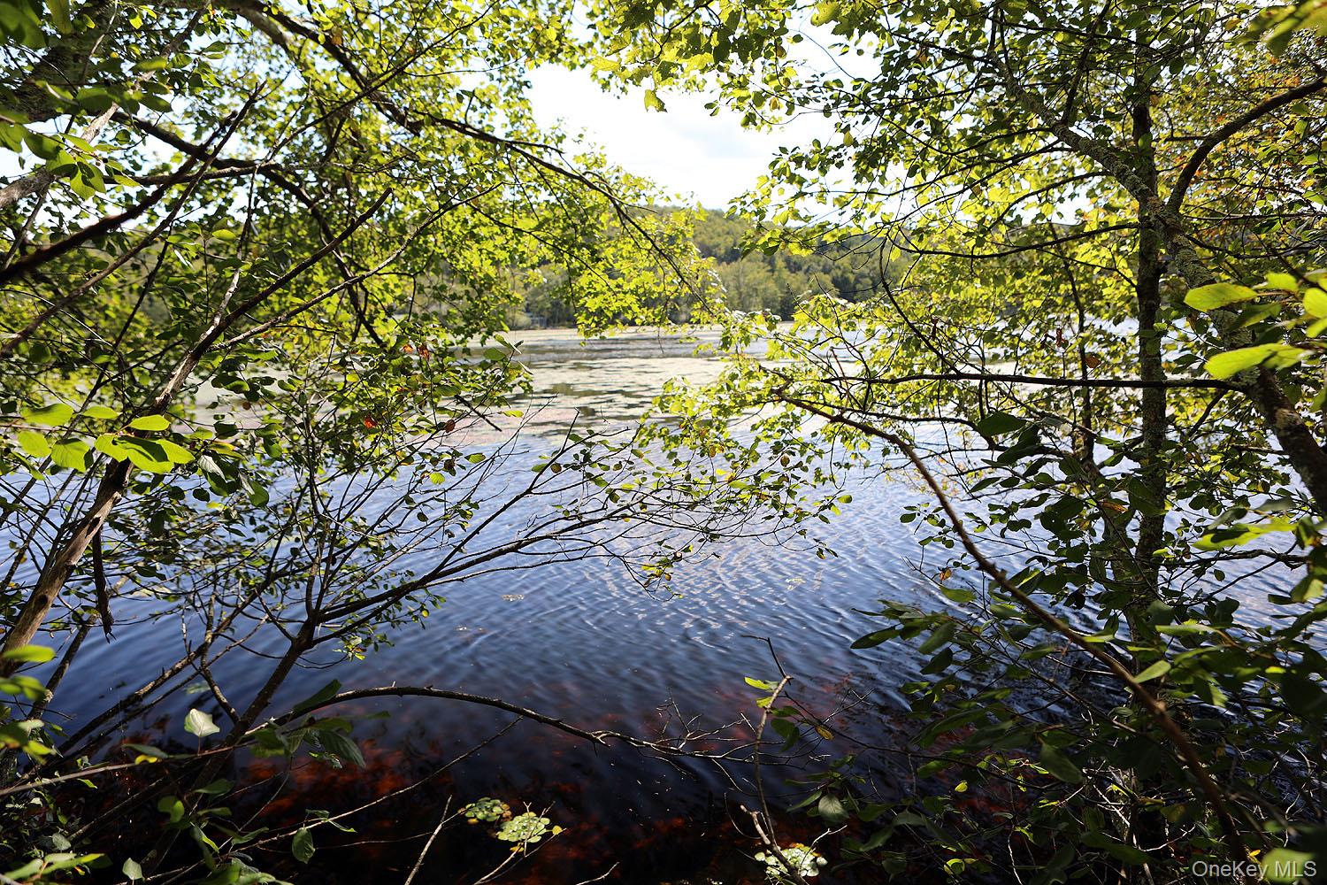 George Segar Rd, Bethel, NY 12783, USA property photo