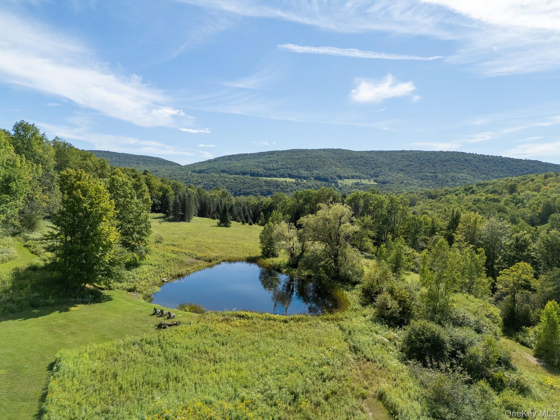 60 Alder Rd, Livingston Manor, NY 12758, USA property photo