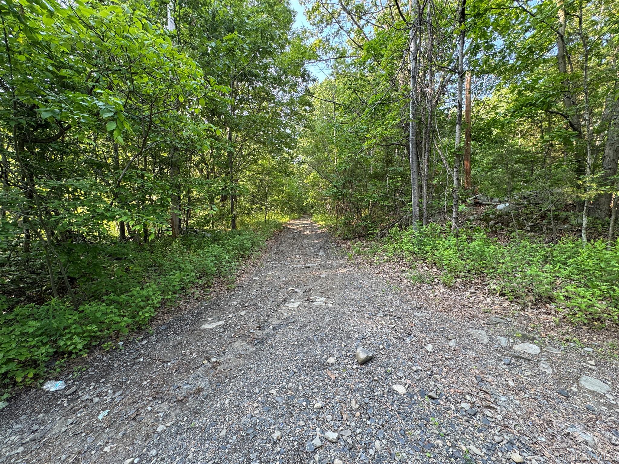 24 Saul Trail, Wallkill, NY 12589, USA property photo