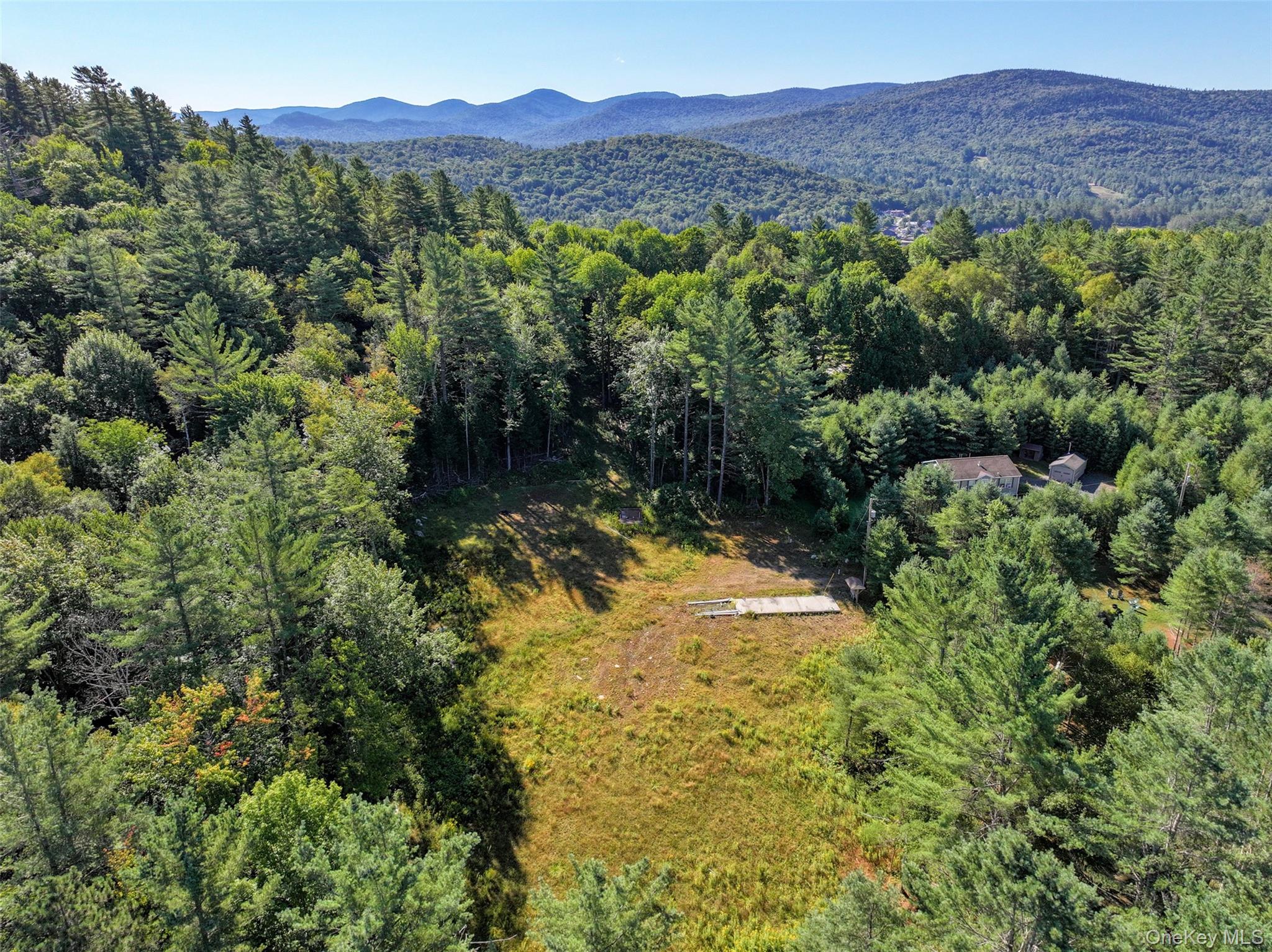 L39 Off Flowers Way Call Listing Agent, NY 12847 property photo