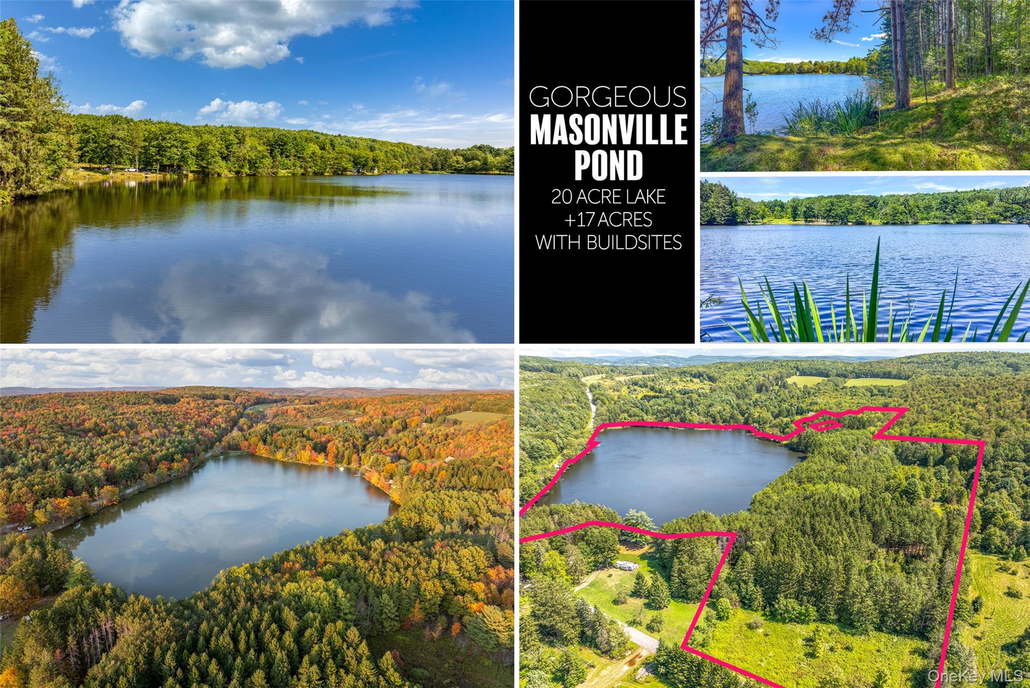 0 E Masonville Pond Rd, Sidney Center, NY 13839, USA property photo
